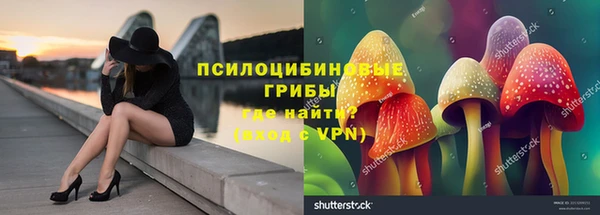 PSILOCYBIN Беломорск