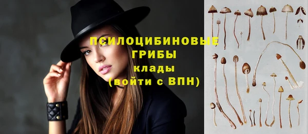 МДМА Белокуриха